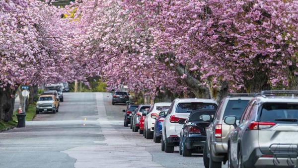 Ce piese auto merita verificate odata cu venirea primaverii